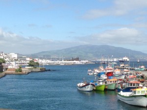 2014-05-16 16h50 le port de pêche de Ponta Delgada à San Miguel aux Acores